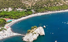 Gli Anelli Di Saturno